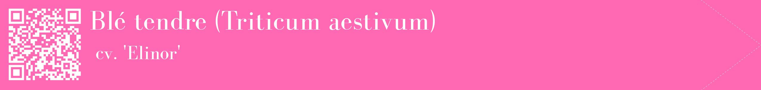 étiquette 2