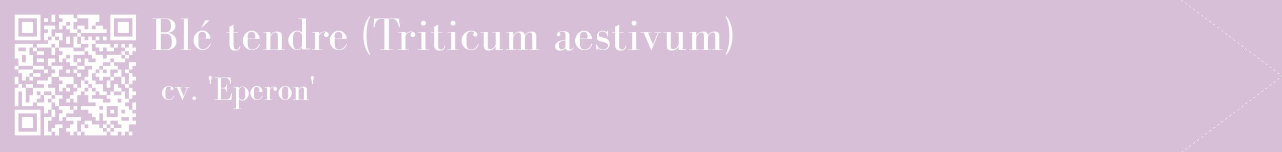 étiquette 2