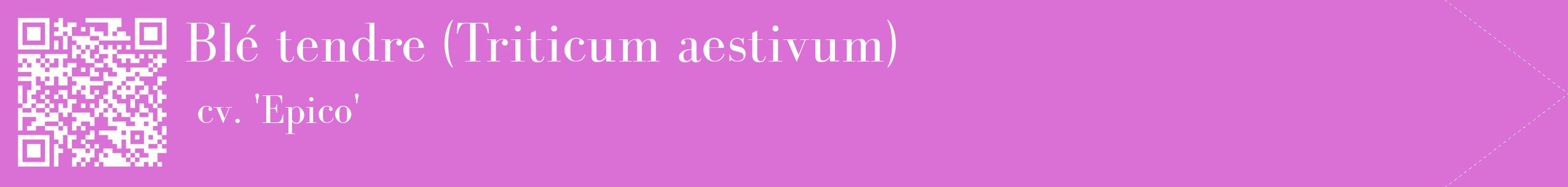 étiquette 2
