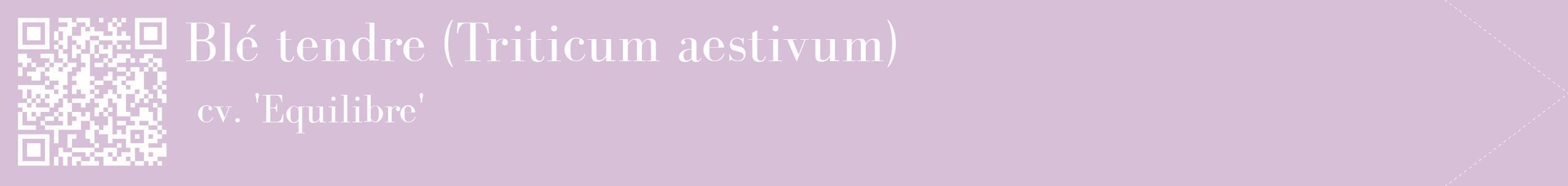 étiquette 2