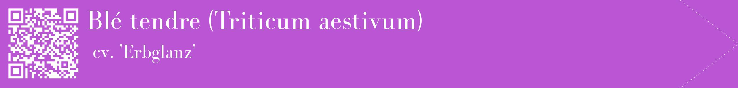 étiquette 2