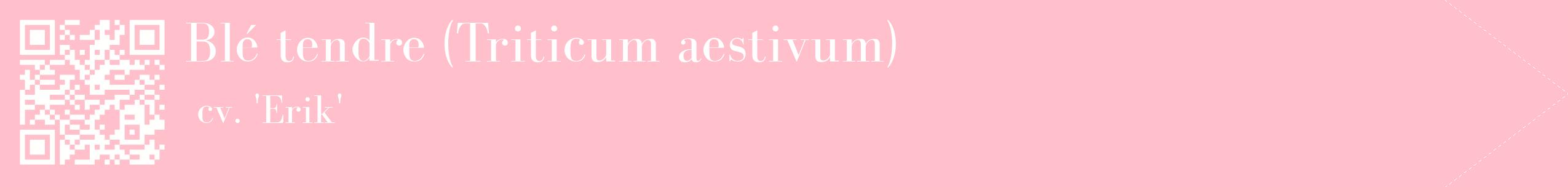 étiquette 2