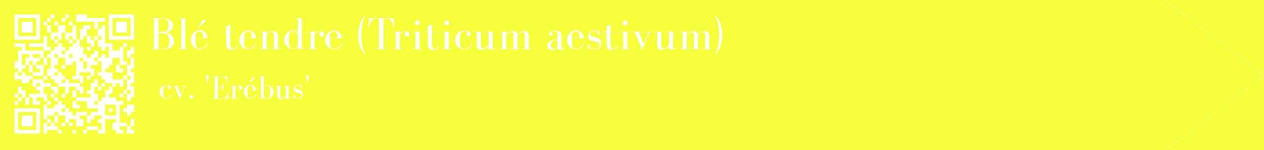 étiquette 2