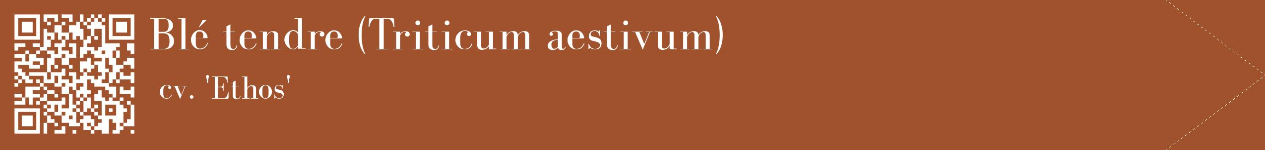étiquette 2