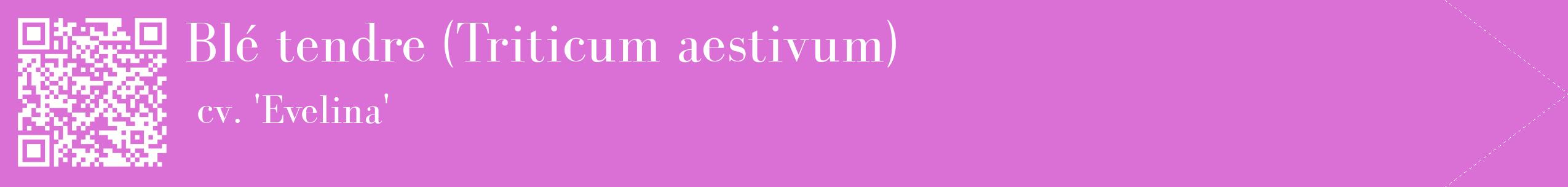 étiquette 2