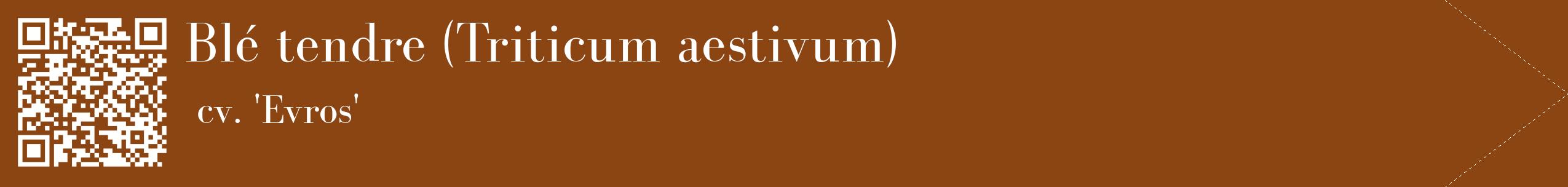 étiquette 2