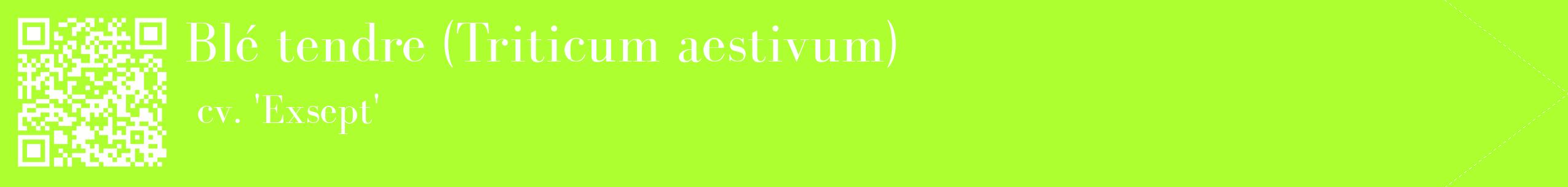 étiquette 2