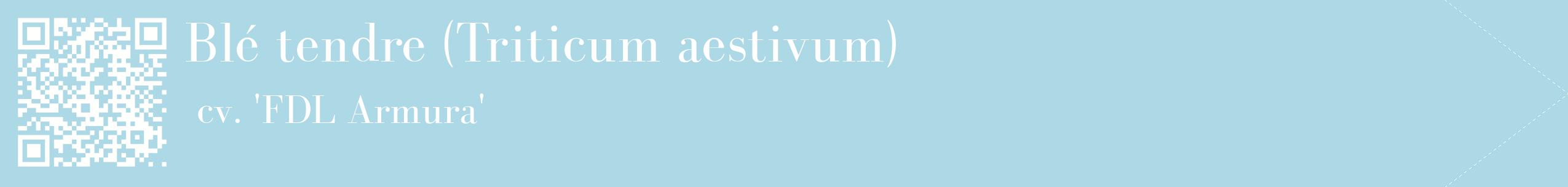 étiquette 2