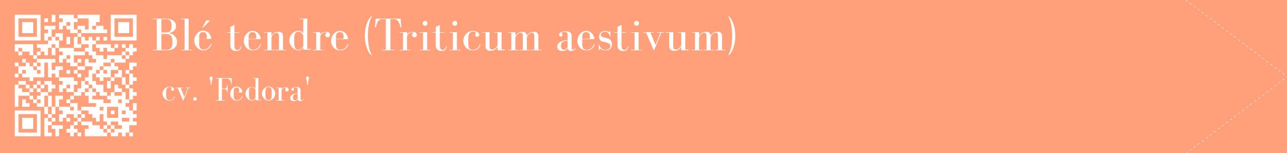 étiquette 2
