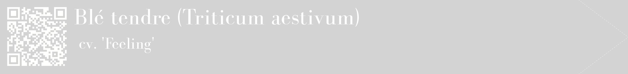 étiquette 2
