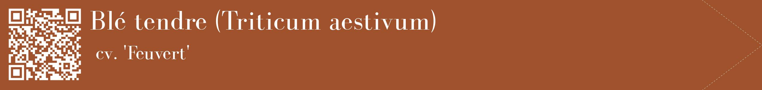 étiquette 2