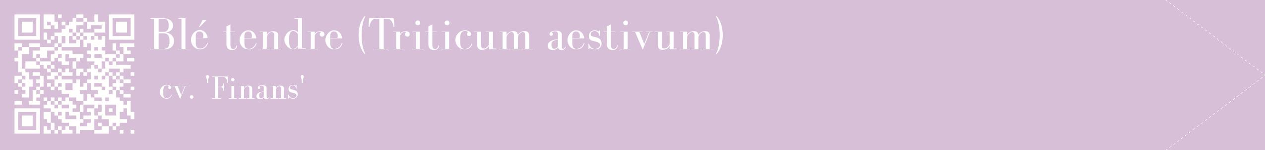 étiquette 2