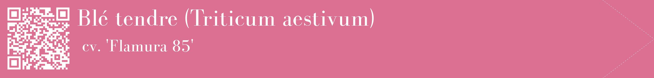 étiquette 2