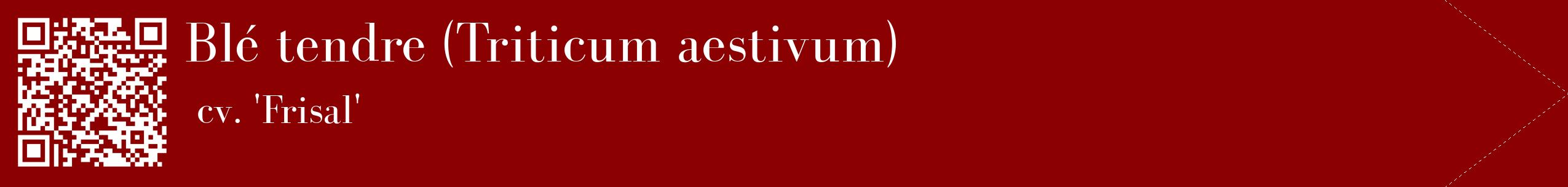 étiquette 2