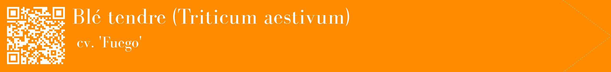 étiquette 2