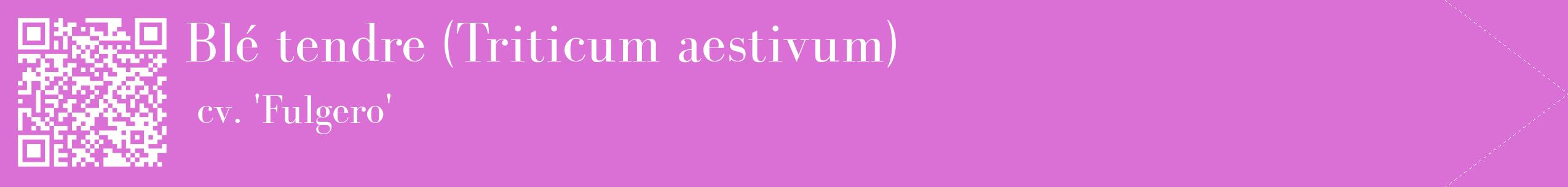 étiquette 2