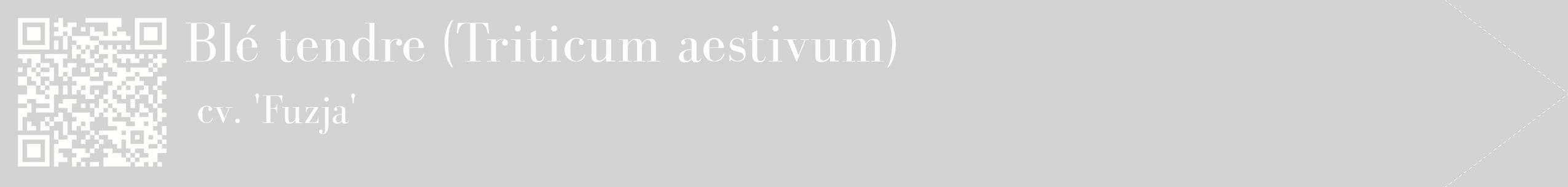 étiquette 2