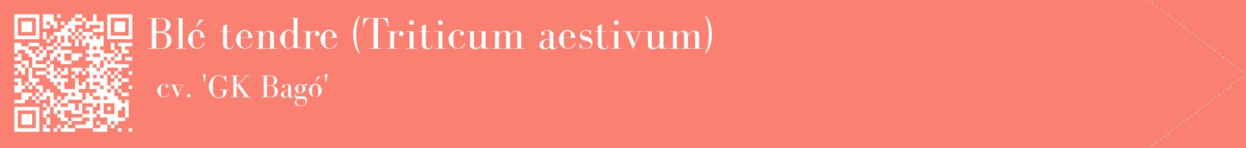 étiquette 2