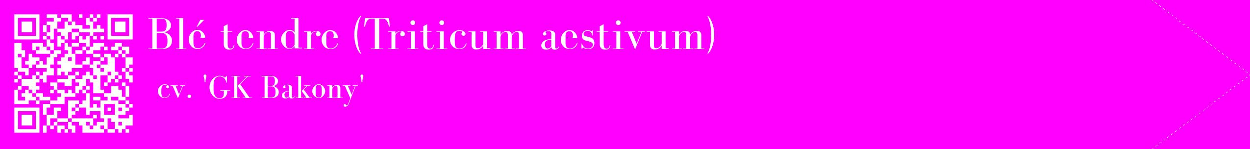 étiquette 2