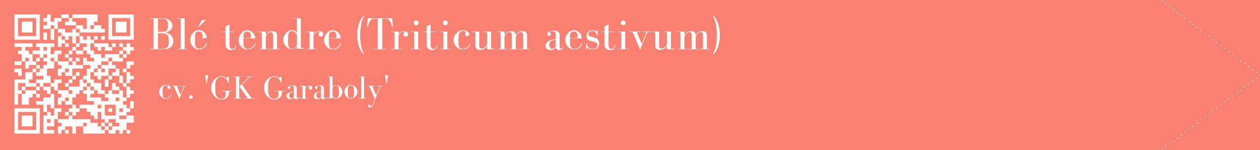 étiquette 2
