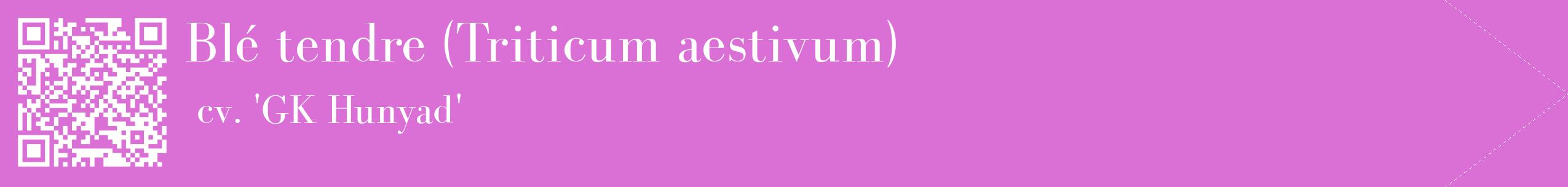 étiquette 2