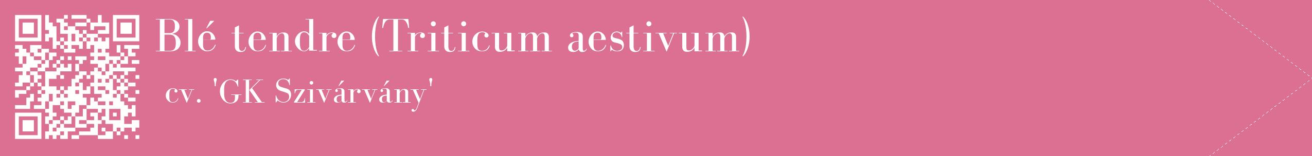 étiquette 2
