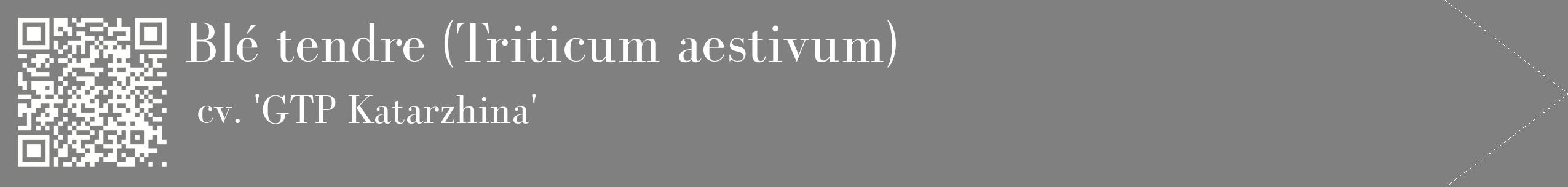 étiquette 2