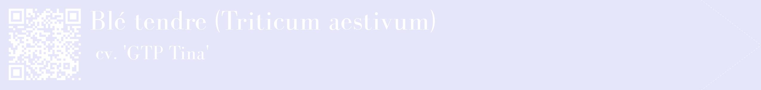 étiquette 2