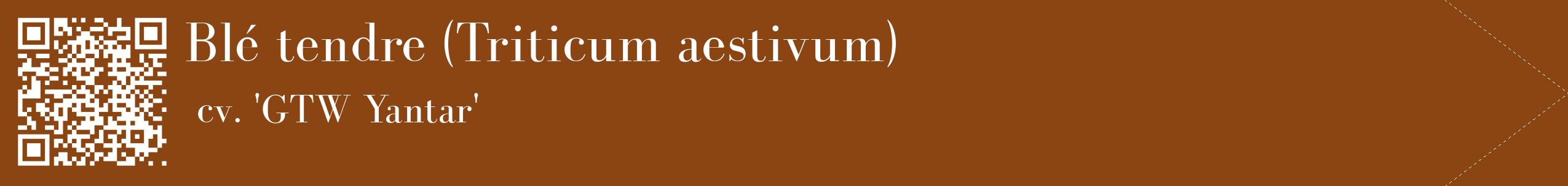 étiquette 2