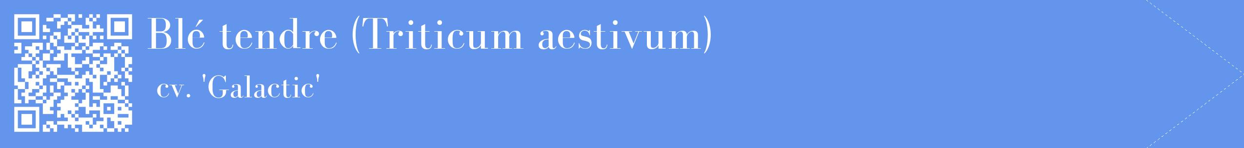 étiquette 2