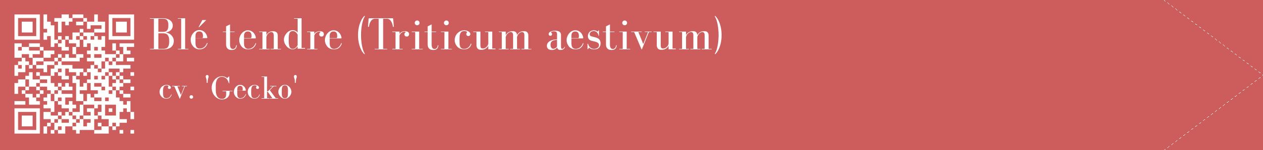 étiquette 2