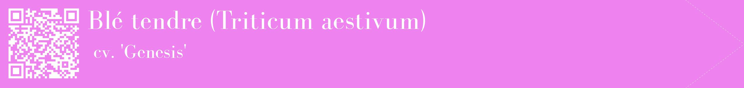 étiquette 2