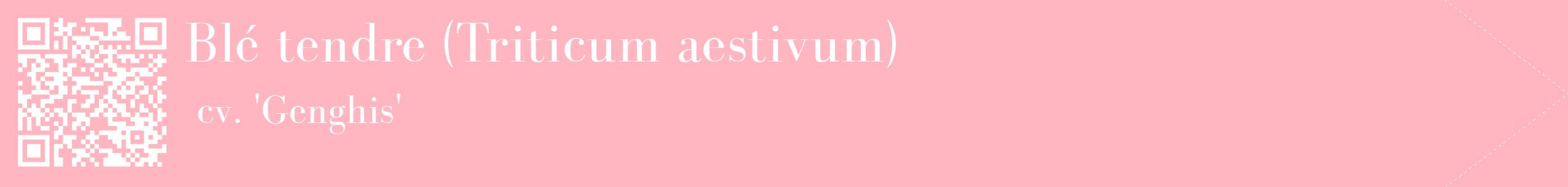 étiquette 2