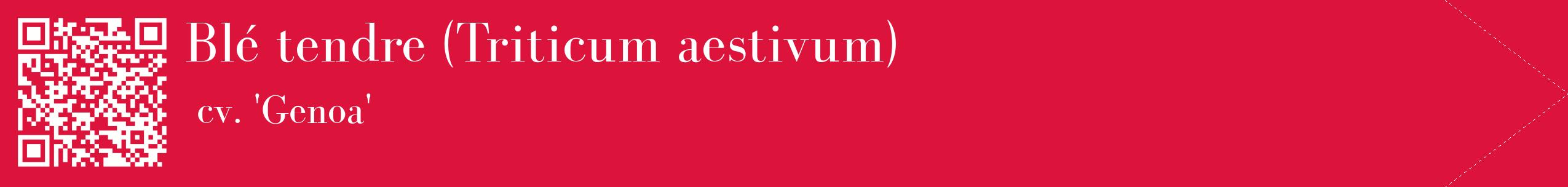 étiquette 2