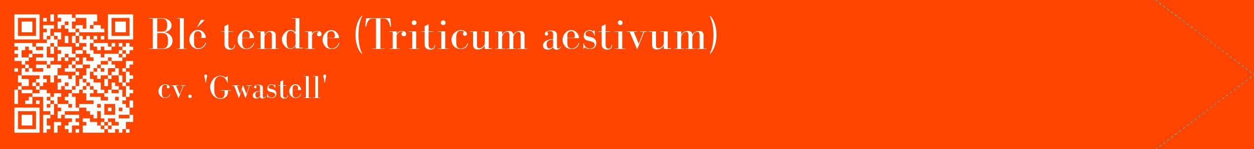 étiquette 2