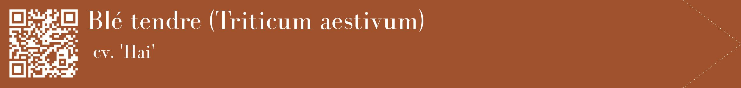 étiquette 2