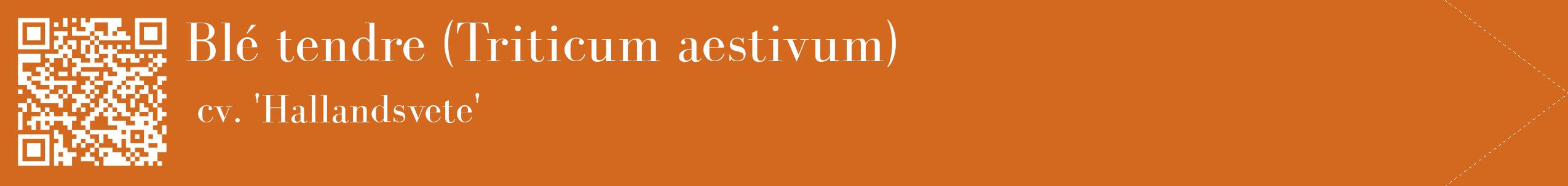 étiquette 2