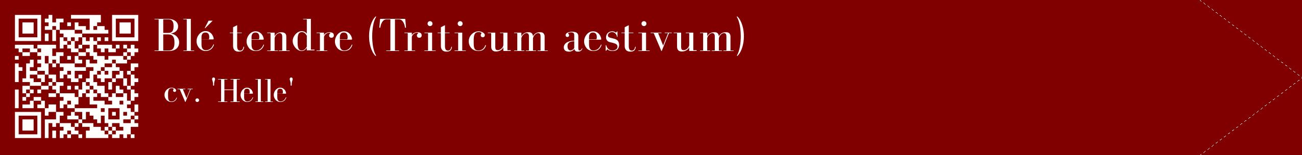 étiquette 2