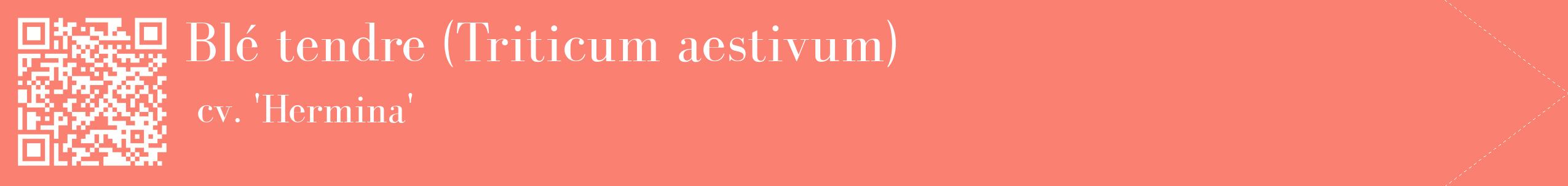étiquette 2