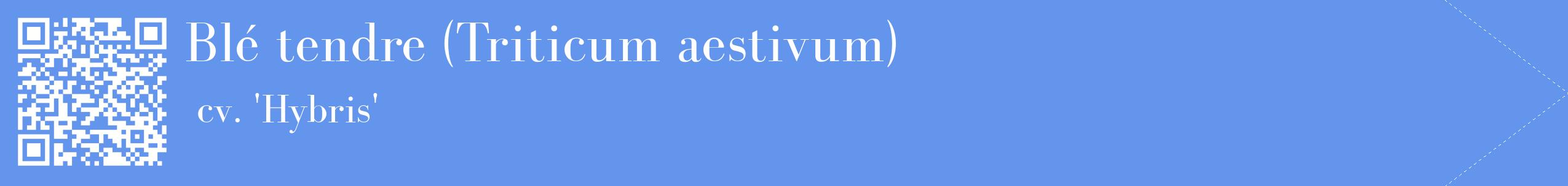 étiquette 2