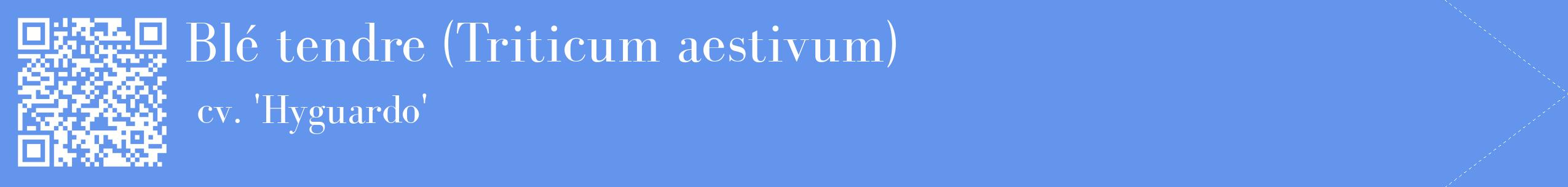 étiquette 2