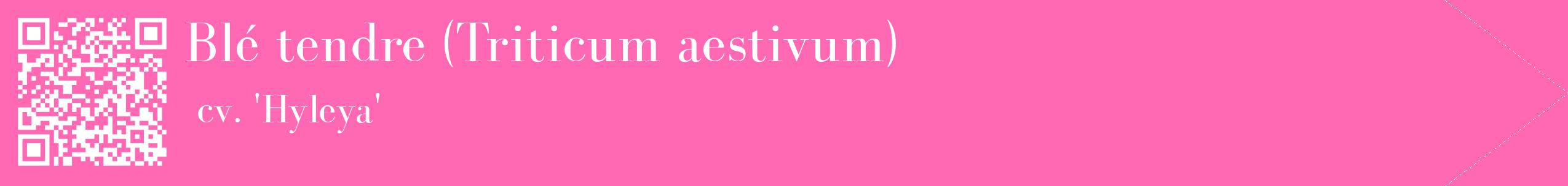 étiquette 2