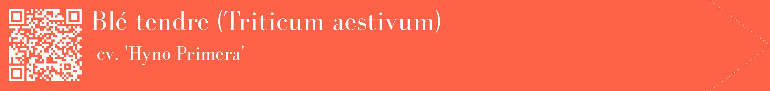 étiquette 2