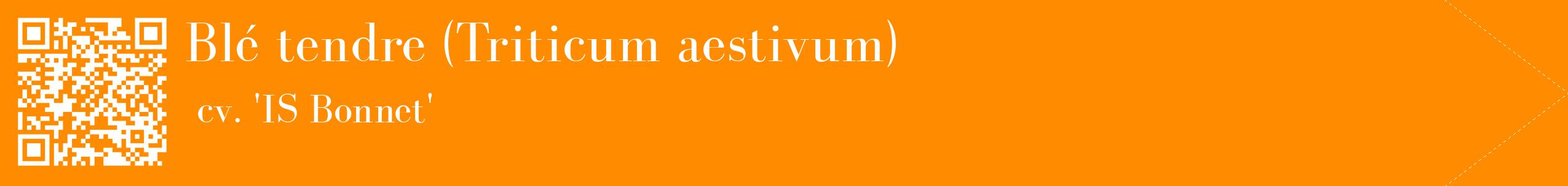 étiquette 2
