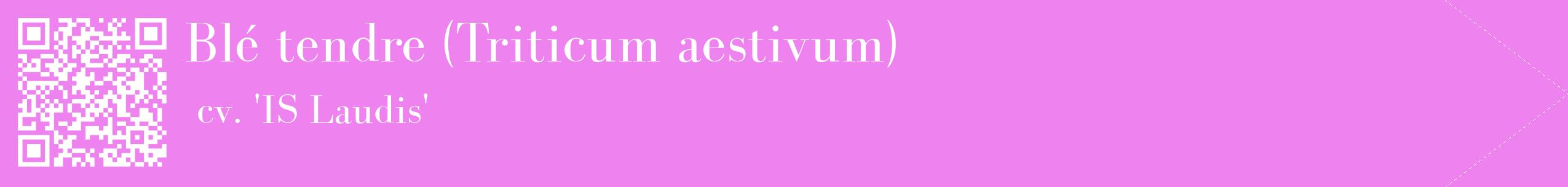 étiquette 2