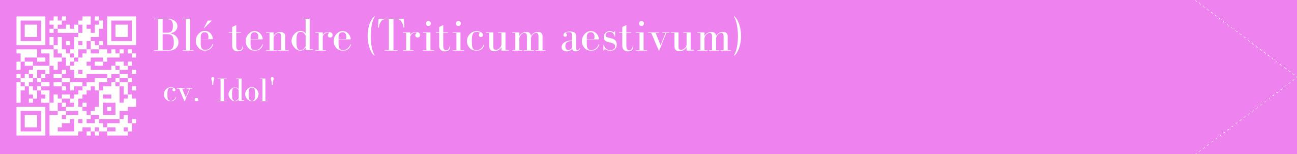 étiquette 2