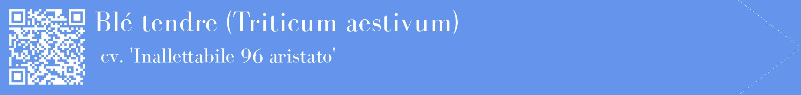étiquette 2
