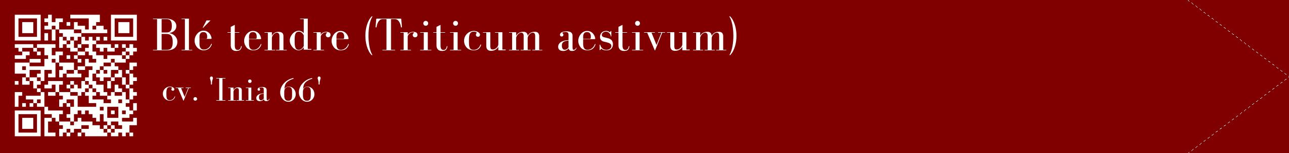étiquette 2