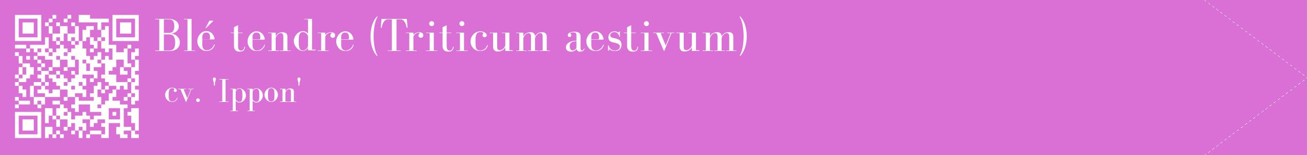 étiquette 2