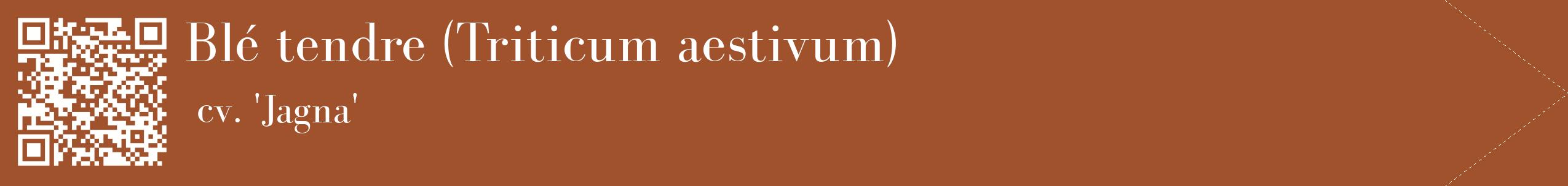 étiquette 2